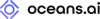 Oceans.ai, Cesium Certified Developer
